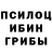 Галлюциногенные грибы Psilocybine cubensis Russell Leigh