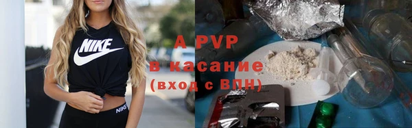 эйфоретик Пересвет