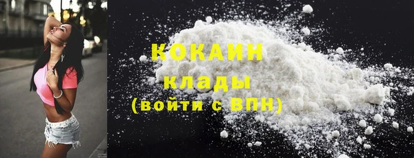 эйфоретик Пересвет