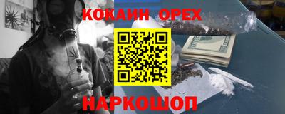 сатива Бийск