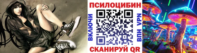 дарнет шоп  Дербент  Галлюциногенные грибы Psilocybe 