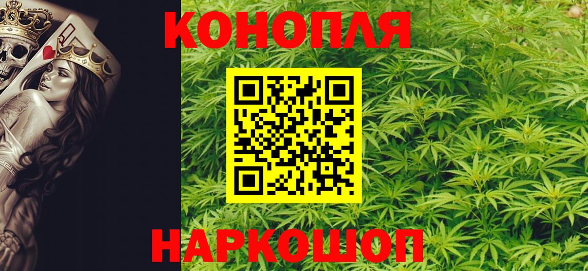 Канабис OG Kush Дербент